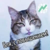 Бля, с повышением!