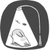 Machiko rabbit 23