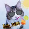 Бля, лето