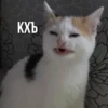 Kittydogs 20