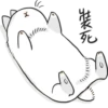 Machiko rabbit 24