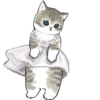 Kittens 20
