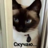 Стики из 22