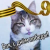9 Бля, с днём победы!