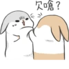 Machiko rabbit 26