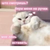 Стики из 23