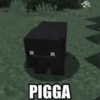 PIGGA