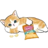 Kittens 22