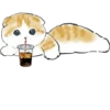 Kittens 24