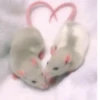 💕 Стики тYт: 25