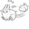Machiko rabbit 27