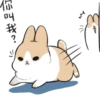 Machiko rabbit 29
