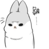 Machiko rabbit 30
