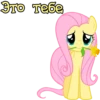I'm Fluttershy 5