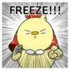 FREEZE!!!