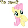 I'm Fluttershy 9