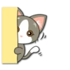Kitty Bell / By OsmerOmar 13