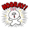HOORAY!
