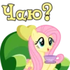 I'm Fluttershy 16