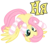 I'm Fluttershy 17