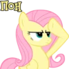I'm Fluttershy 20