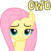 I'm Fluttershy 23