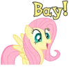 I'm Fluttershy 24