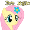 I'm Fluttershy 27