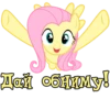 I'm Fluttershy 28