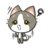 Kitty Bell / By OsmerOmar 19
