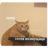 сижу ето картинки готов возмущаца