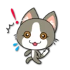 Kitty Bell / By OsmerOmar 22