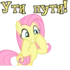 I'm Fluttershy 30