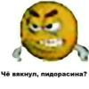 Чё вякнул, пидорасина?