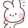 LINE FRIENDS minini 29