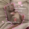 Крысик 🐀 ⬅ 5