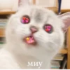 миу