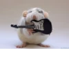 Крысик 🐀 ⬅ 6