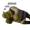 ZZZZZZ ZZZZ