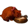 @STIKERFORALL SHREK 19