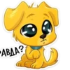 Perro Cute💞1🇵🇪Clásica 10
