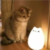 Gatinhos 10