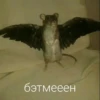 Крысик 🐀 ⬅ 14