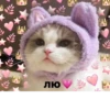 лю