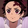 ⚔️Kimetsu No Yaiba⚔️ 17