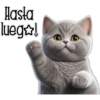 Gatito gris 🐈‍⬛🩶 12