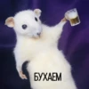 Крысик 🐀 ⬅ 17