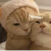 *цьмок*