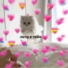 лечу к тебе