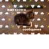жду твоего сообщения